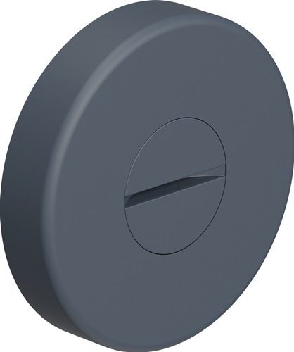 HEWI Schlüsselrosette 306.23PBNRLN 99 Ku.99 Schildst.10,5mm FBM rd - 306.23PBNRLN 99