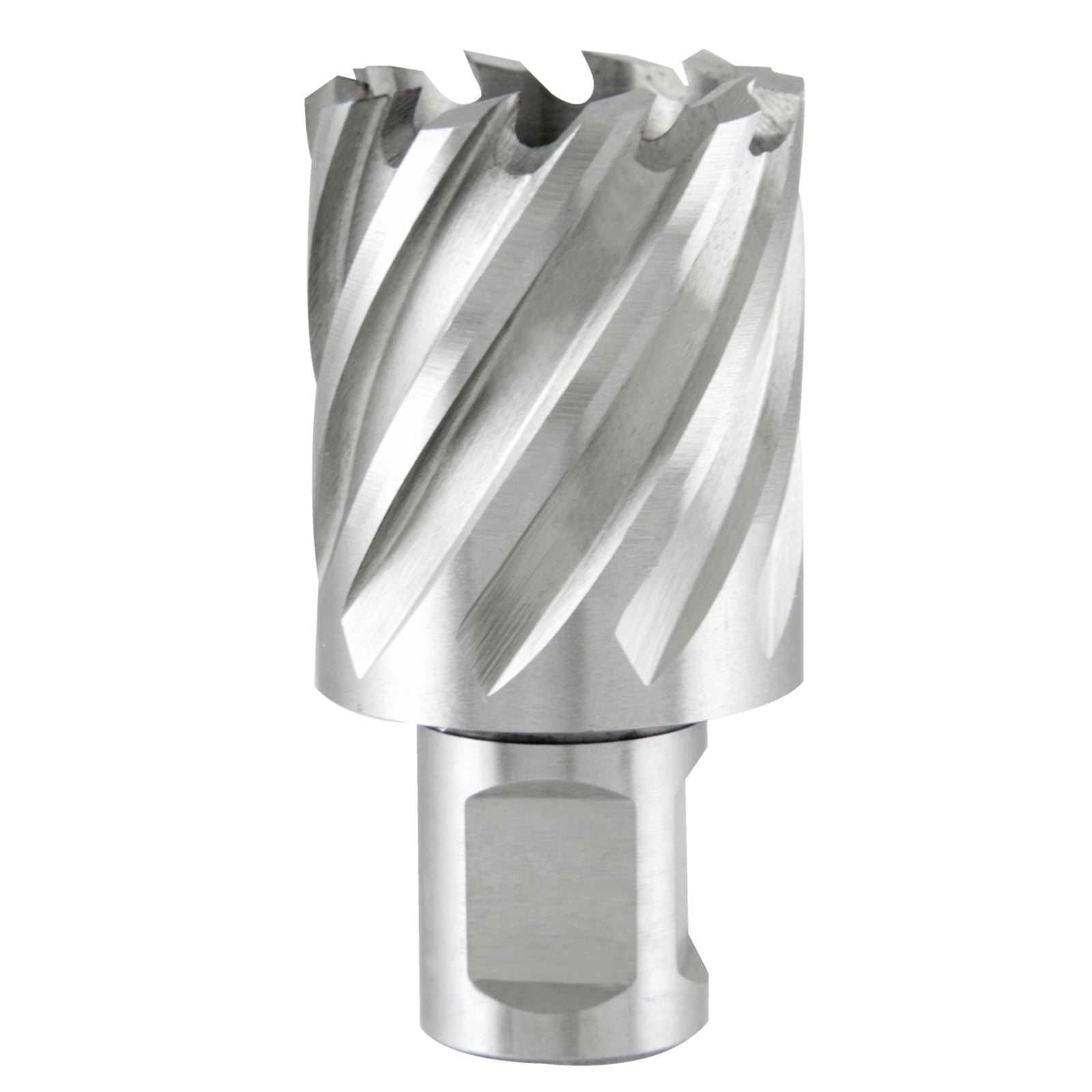 TERRAX by RUKO Kernbohrer HSS mit Weldonschaft (3/4") Schnitttiefe 30,0 mm Ø 30,0 mm - 108230TX