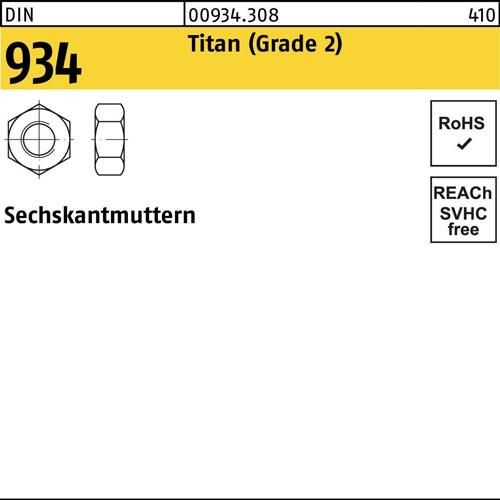 Sechskantmutter DIN 934 M 12 Titan (Grade 2) 100 Stück
