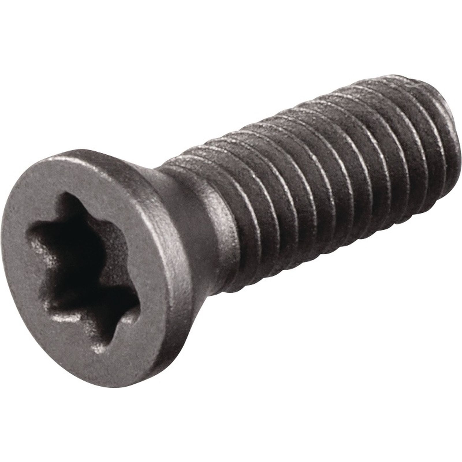 Spannschraube US3510 Gr.T15 TECWERK