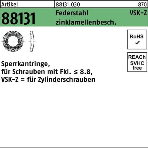 Sperrkantring R 88131 VSK-Z 5x8,8x1,6 Federstahl zinklamellenb. 5000St.