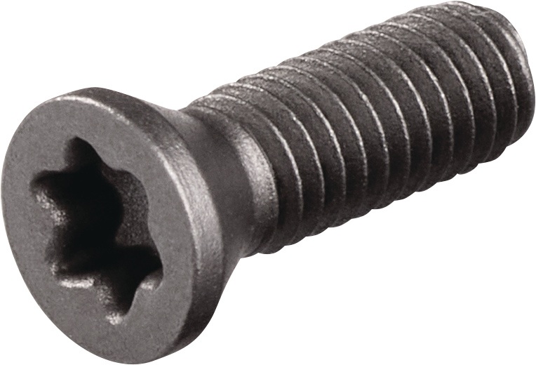 Spannschraube US3510 Gr.T15 TECWERK