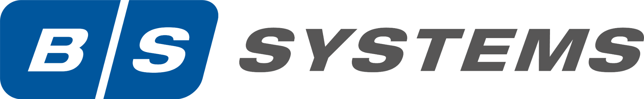 BS SYSTEMS Logo