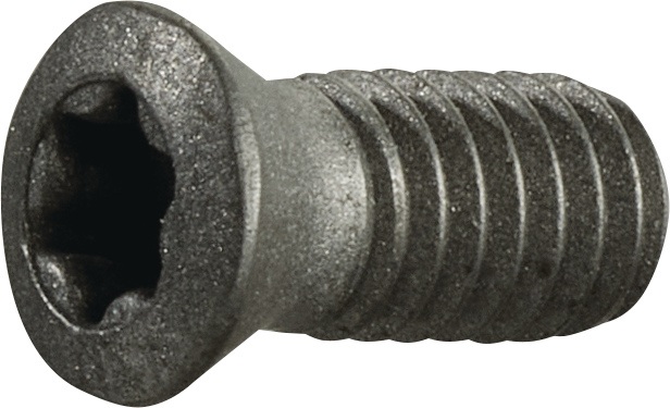 Spannschraube Gr.T15 f.TCGX 1635 M4 Gewinde-L.9mm z.Fasenfräser TECWERK