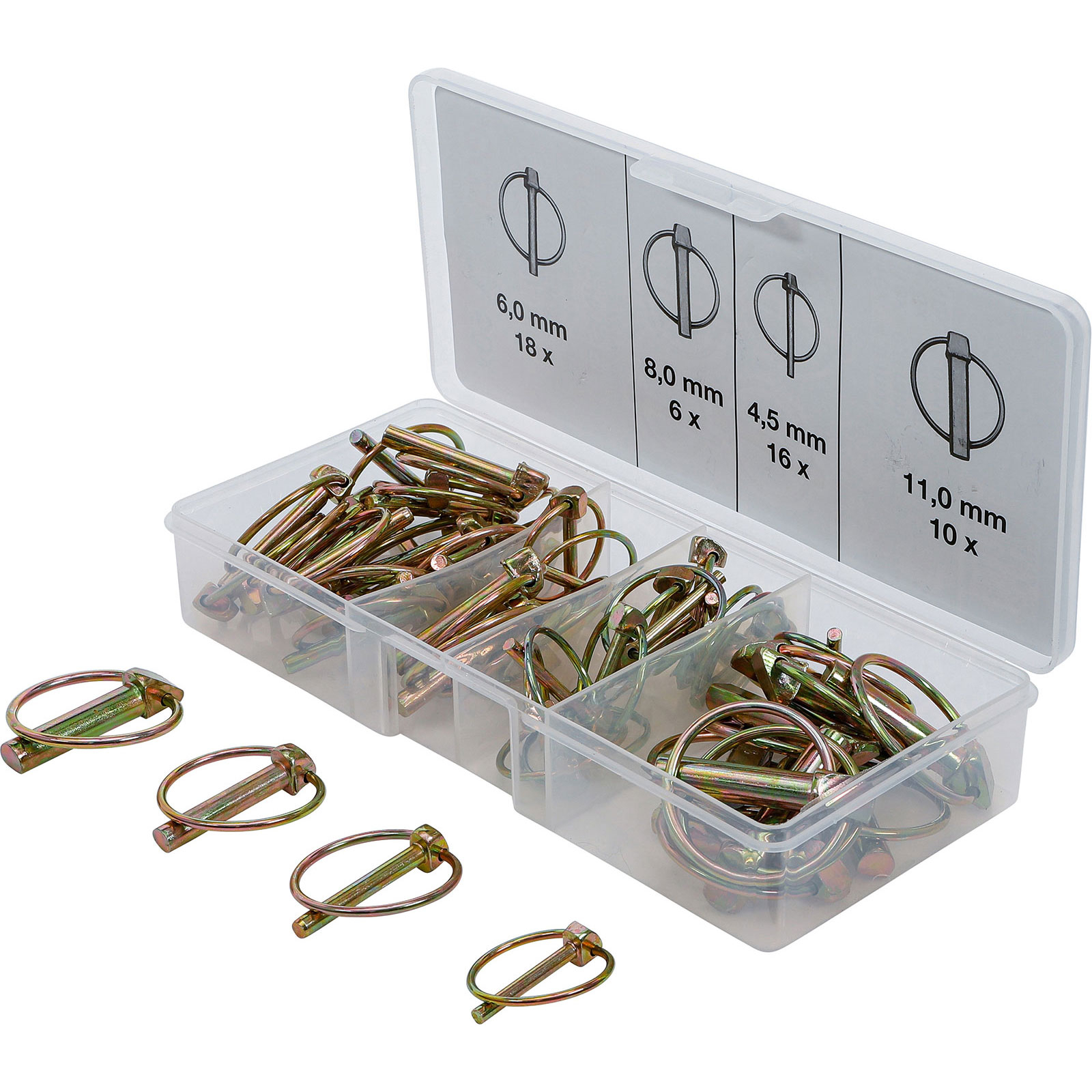 BGS Klappsplinte-Sortiment 50tlg. - 8087