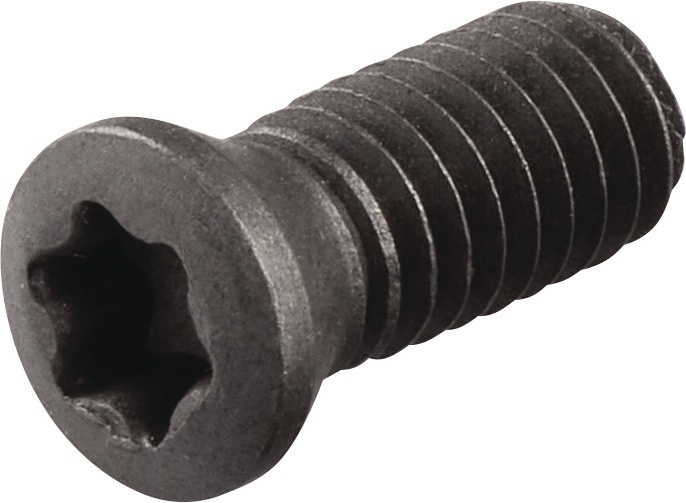 Spannschraube WS0620-S4 TECWERK