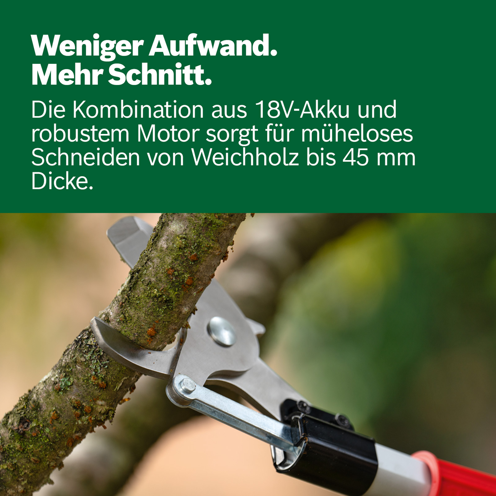 bosch_06008c5002_1
