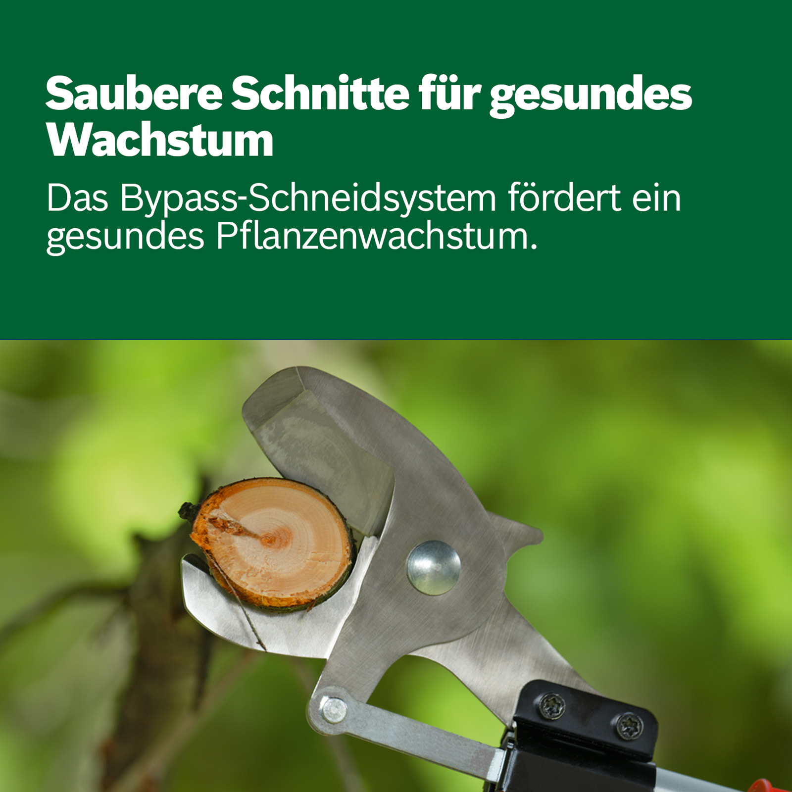 bosch_06008c5002-3_1