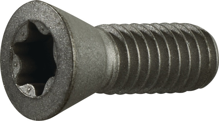 Spannschraube Gr.T20 f.TCMT 16/SCMT 12 z.Fasenfräser TECWERK