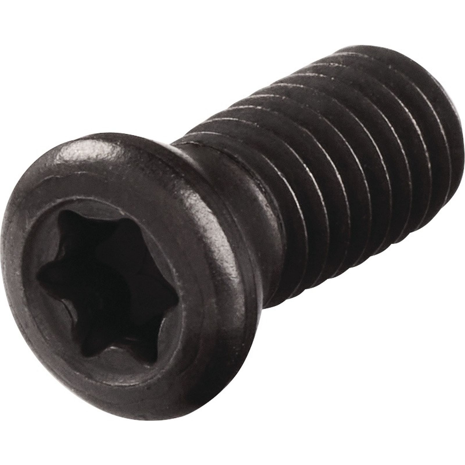 Spannschraube WS0512 Gr.T20 TECWERK