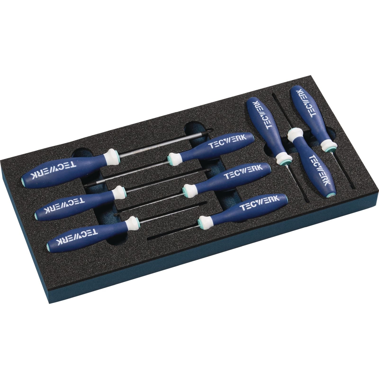 Werkzeugmodul 9-tlg.1/3-Modul T 6-T 30 TECWERK