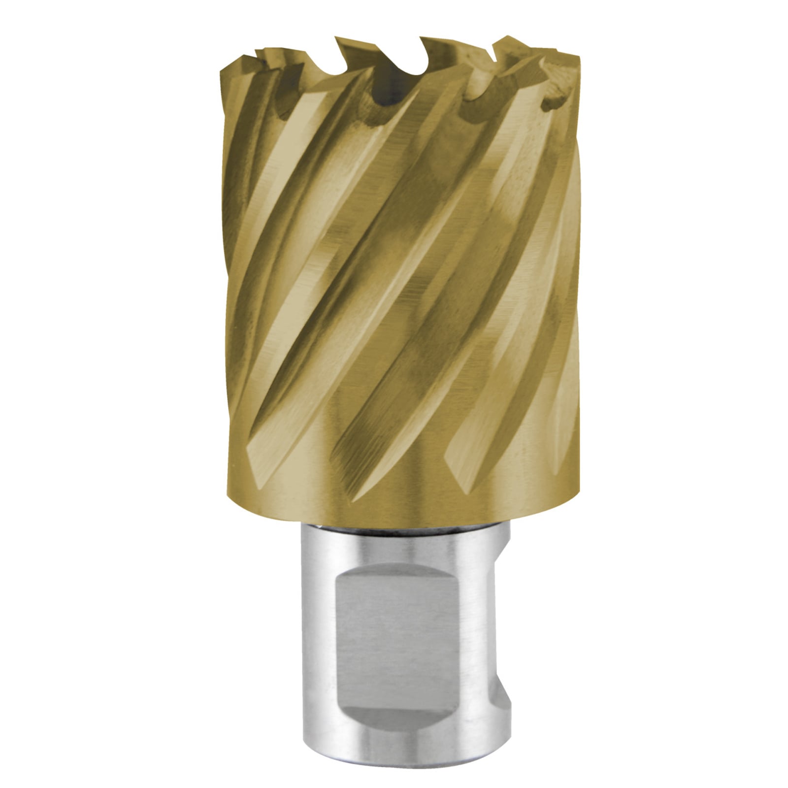 TERRAX by RUKO Kernbohrer HSS-TiN mit Weldonschaft (3/4") Schnitttiefe 30,0 mm Ø 18,0 mm - 108218TTX