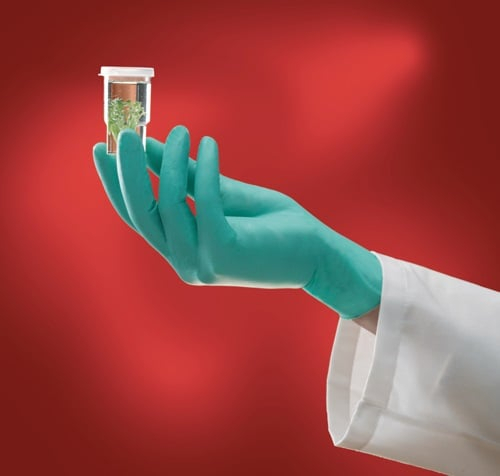 ANSELL 100x Einweghandschuhe Microflex NeoTouch 25-101 hellgrün Neopren - 25-101-9,5-10