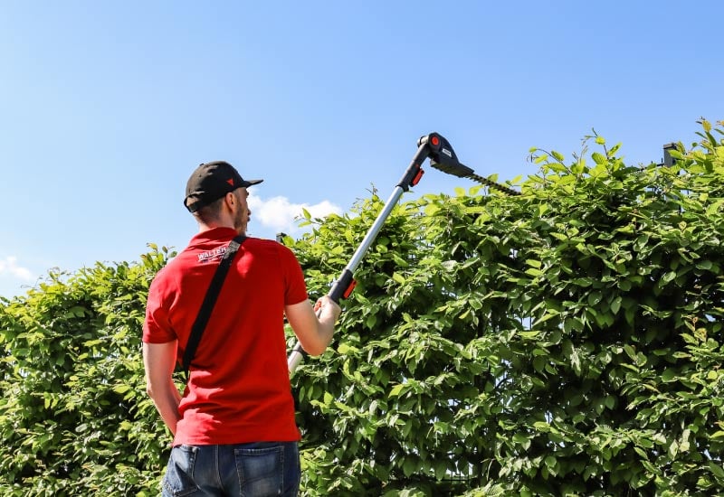 Walter Heckenschneider im Einsatz an einer Hecke