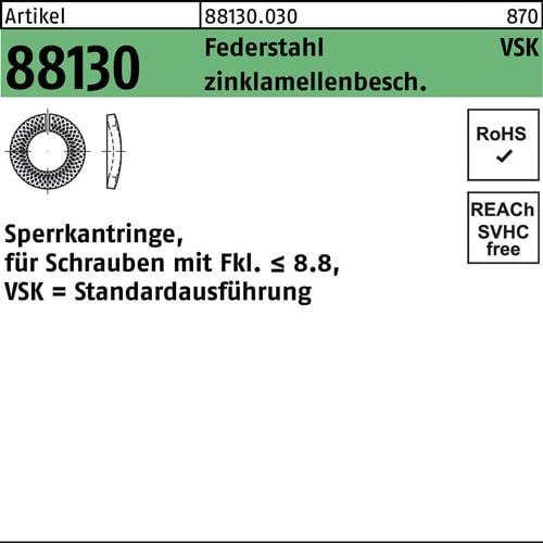 Sperrkantring R 88130 VSK 30x48,2x6 Federstahl zinklamellenb. 25Stück