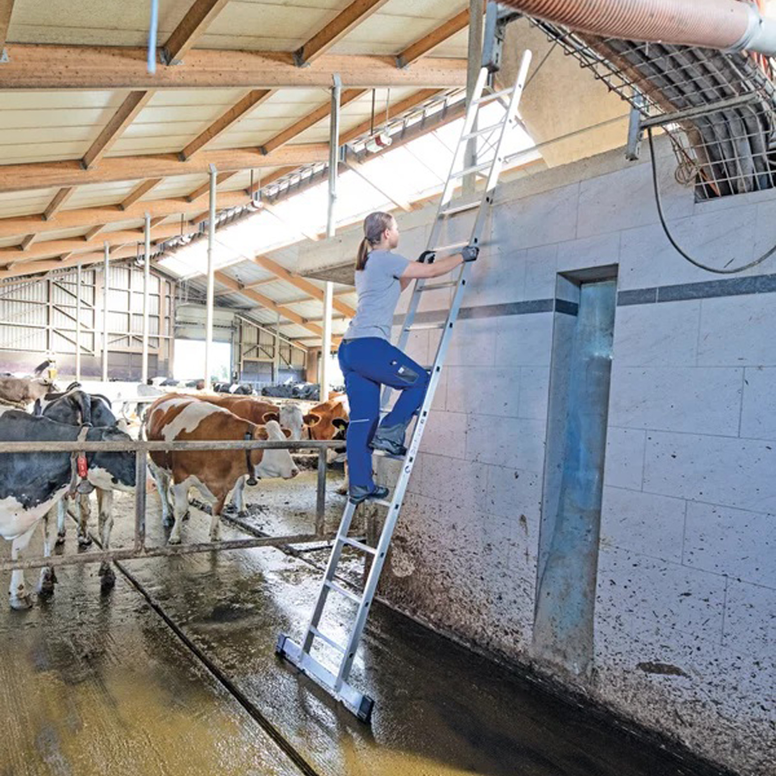 Günzburger Steigtechnik Sprossen-Anlegeleiter mit Standard-Traverse 16 Sprossen - 010116