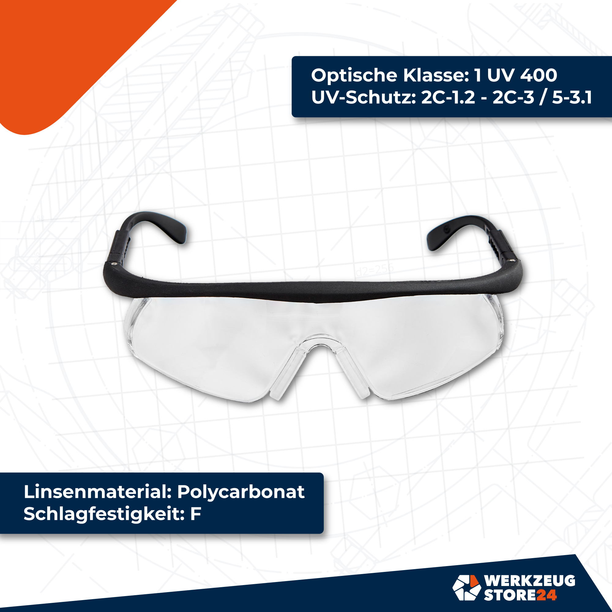 WS24 Schutzbrille in Etui - WS24-100108