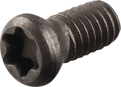 Spannschraube US2506 Gr.T8 TECWERK