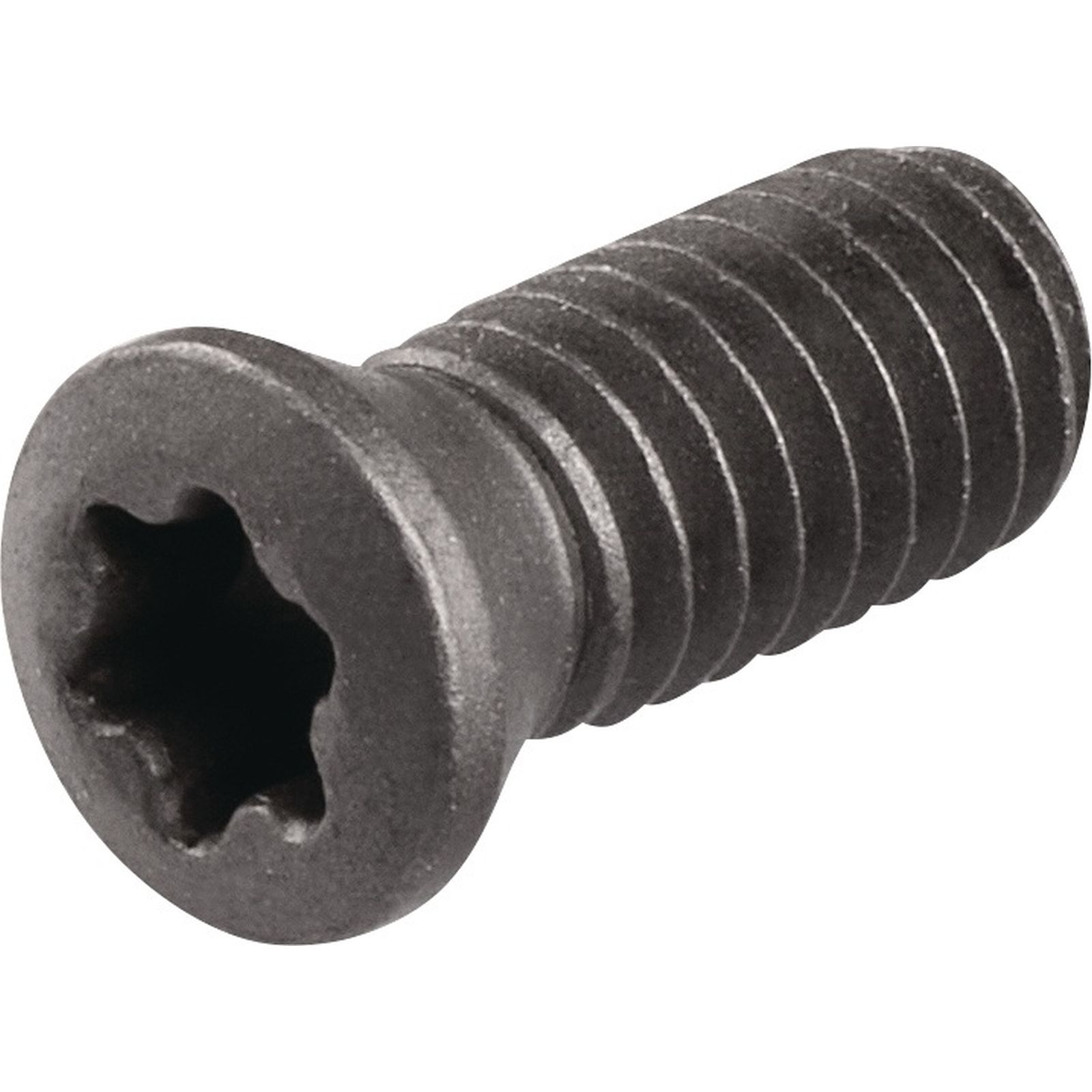 Spannschraube WS0410 Gr.T15 TECWERK