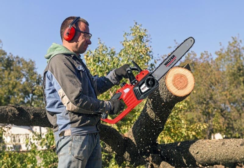 Mann mit Motorsäge von WALTER beim Fällen von Holz im Wald