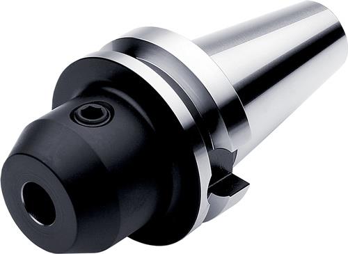 Weldon-Schaftfräserhalter ISO BT.30AD-W.08.050 D.8mm PRAMET