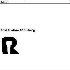 Kotflügelscheibe R 88104 4,3 x 15 x 1,25 Stahl galv. verzinkt 100St. FS