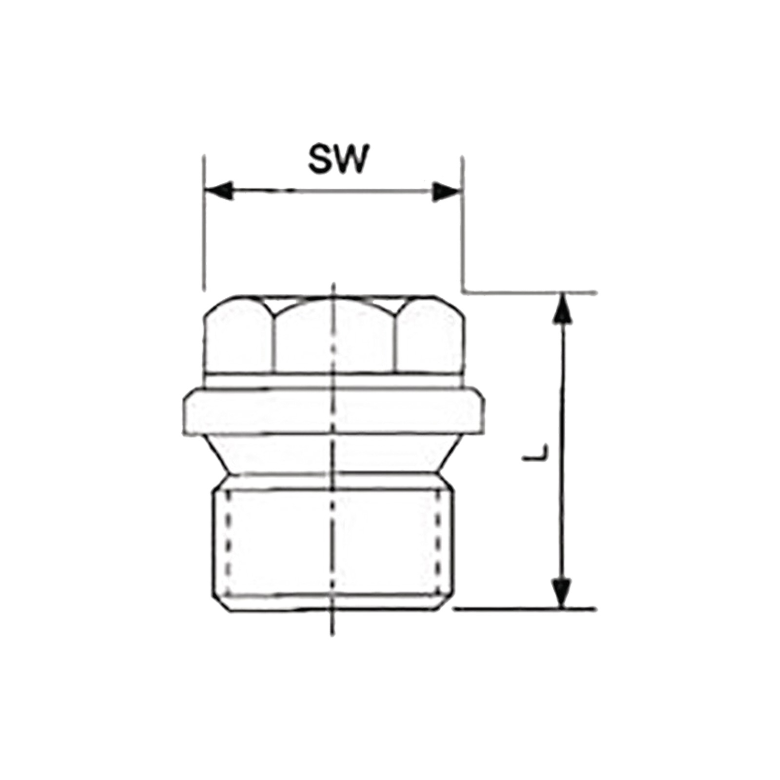 Springer Verschlussschraube DIN 910 ISO 228-1 NPS=1/4 ″ - 33116014T