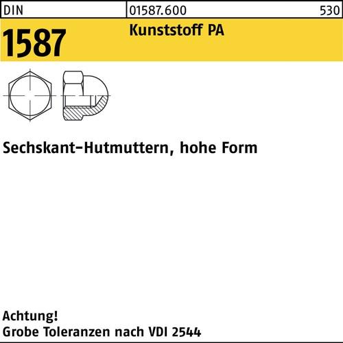 Sechskanthutmutter DIN 1587 M10 SW 17 Polyamid natur 100 Stück