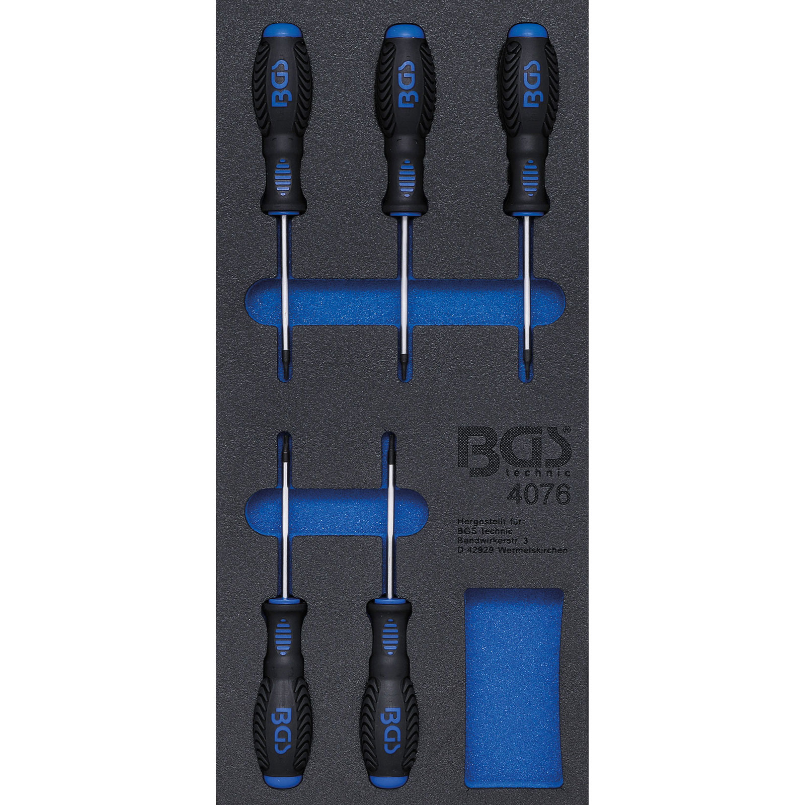BGS Werkstattwageneinlage 1/3: Schraubendreher T-Profil (für Torx) 5tlg. - 4076