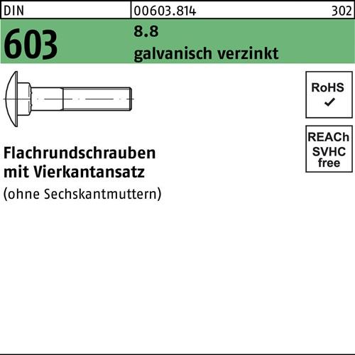 Flachrundschraube DIN 603 Vierkantansatz M10x40 8.8 galv.verz. 100St.