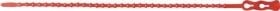 SAPISELCO 100x Kabelbinder Click Tie Länge 650 mm Breite 5,6 mm - CLT.10.2157