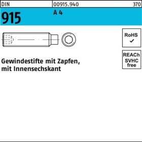 Gewindestift DIN 915 Zapfen/Innen-6kt M5x 8 A 4 500 Stück