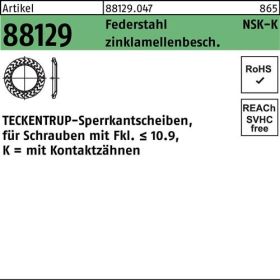 Sperrkantscheibe R 88129 NSK-K 5 Federstahl zinklamellenb. 1000St. TECKENTRUP