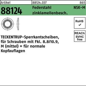 Sperrkantscheibe R 88124 NSK-M 24 Federstahl zinklamellenb. 100St. TECKENTRUP