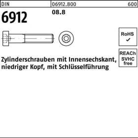 Zylinderschraube DIN 6912 Innen-6kt M4x 16 8.8 100 Stück