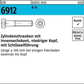 Zylinderschraube DIN 6912 Innen-6kt M24x 120 A 4 1 Stück