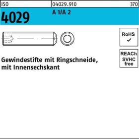 Gewindestift ISO 4029 Ringschneide/Innen-6kt M16x 16 A 2 10 Stück
