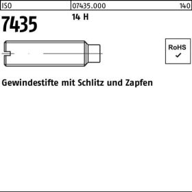 Gewindestift ISO 7435 Schlitz/Zapfen M6x 30 14 H 100 Stück