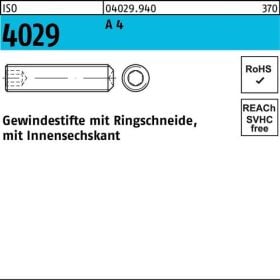 Gewindestift ISO 4029 Ringschneide/Innen-6kt M2x 2 A 4 500 Stück