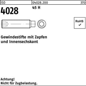 Gewindestift ISO 4028 Zapfen/Innen-6kt M5x 30 45 H 200 Stück