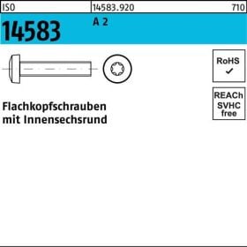 Flachkopfschraube ISO 14583 ISR M10x 16 A 2 200 Stück