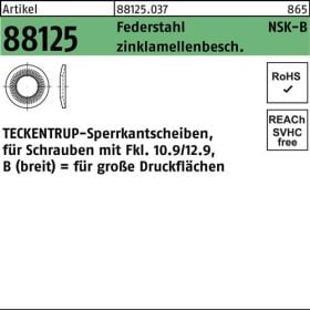 Sperrkantscheibe R 88125 NSK-B 10 Federstahl zinklamellenb. 1000St. TECKENTRUP