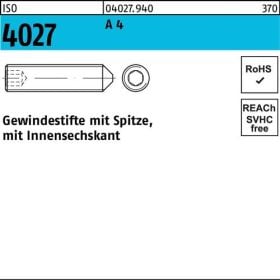 Gewindestift ISO 4027 Spitze/Innen-6kt M10x 45 A 4 50 Stück