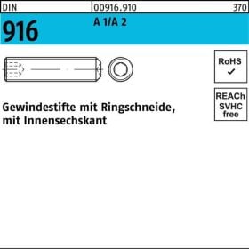 Gewindestift DIN 916 Ringschn./Innen-6kt M8x 6 A1/A2 500 Stück