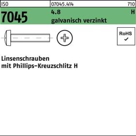 ISO 7094 Stahl 100 HV Flache Scheiben, extra große Reihe, Produkt